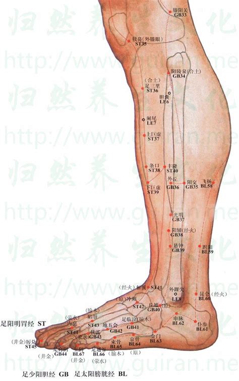 飛揚穴位置|飛揚穴位置 